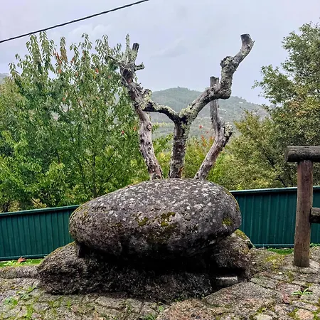 Casa Do Monte Sereno Celorico De Basto